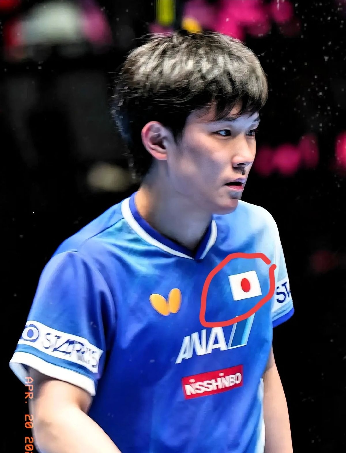 关于日本乒乓球队横扫波兰乒乓球队，张本智和关键制胜的信息