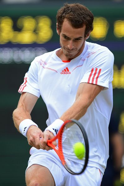 温网逆转法网，穆雷惊艳四座的简单介绍